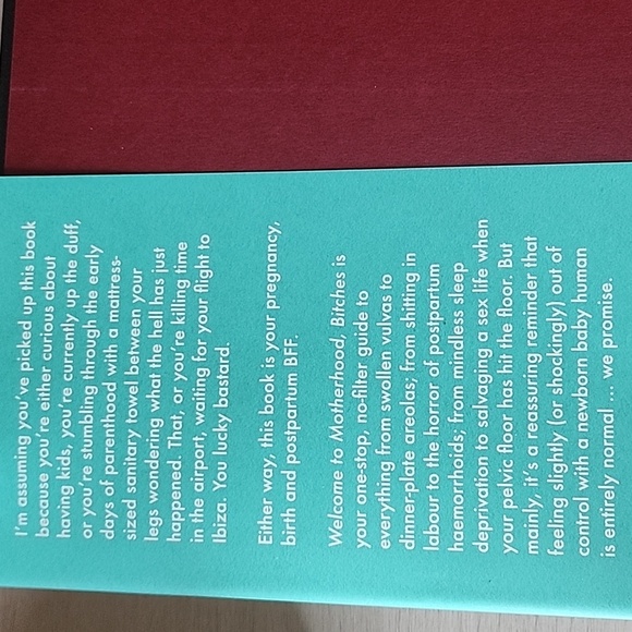 Welcome to Motherhood Bitches - Picture 2 of 3